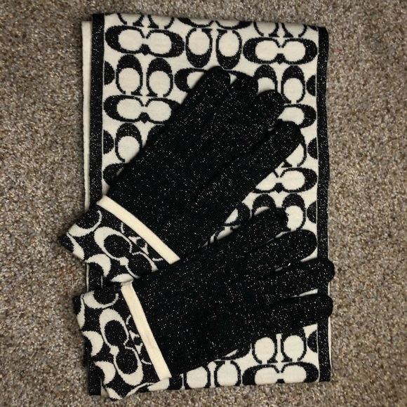 Coach Accessories - Shimmery Coach Scarf & Glove Set